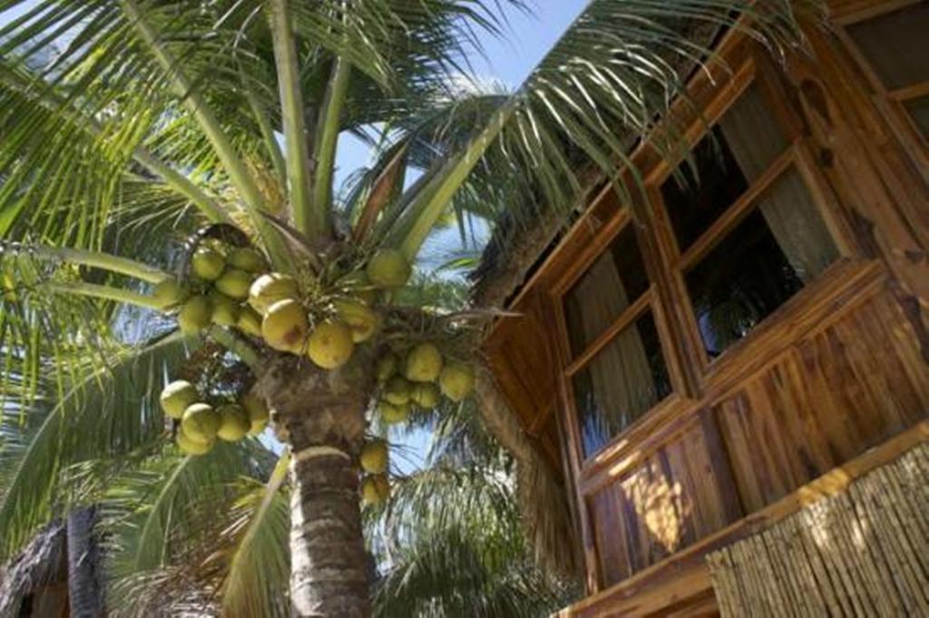 Hotel Tortuga Village Сан-Луис-ла-Эррадура Экстерьер фото